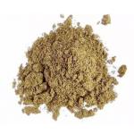 Купить Оптом – Бакопа Монье, сухой экстракт 20% бакопозиды (Брами, Bacopa Monnieri)